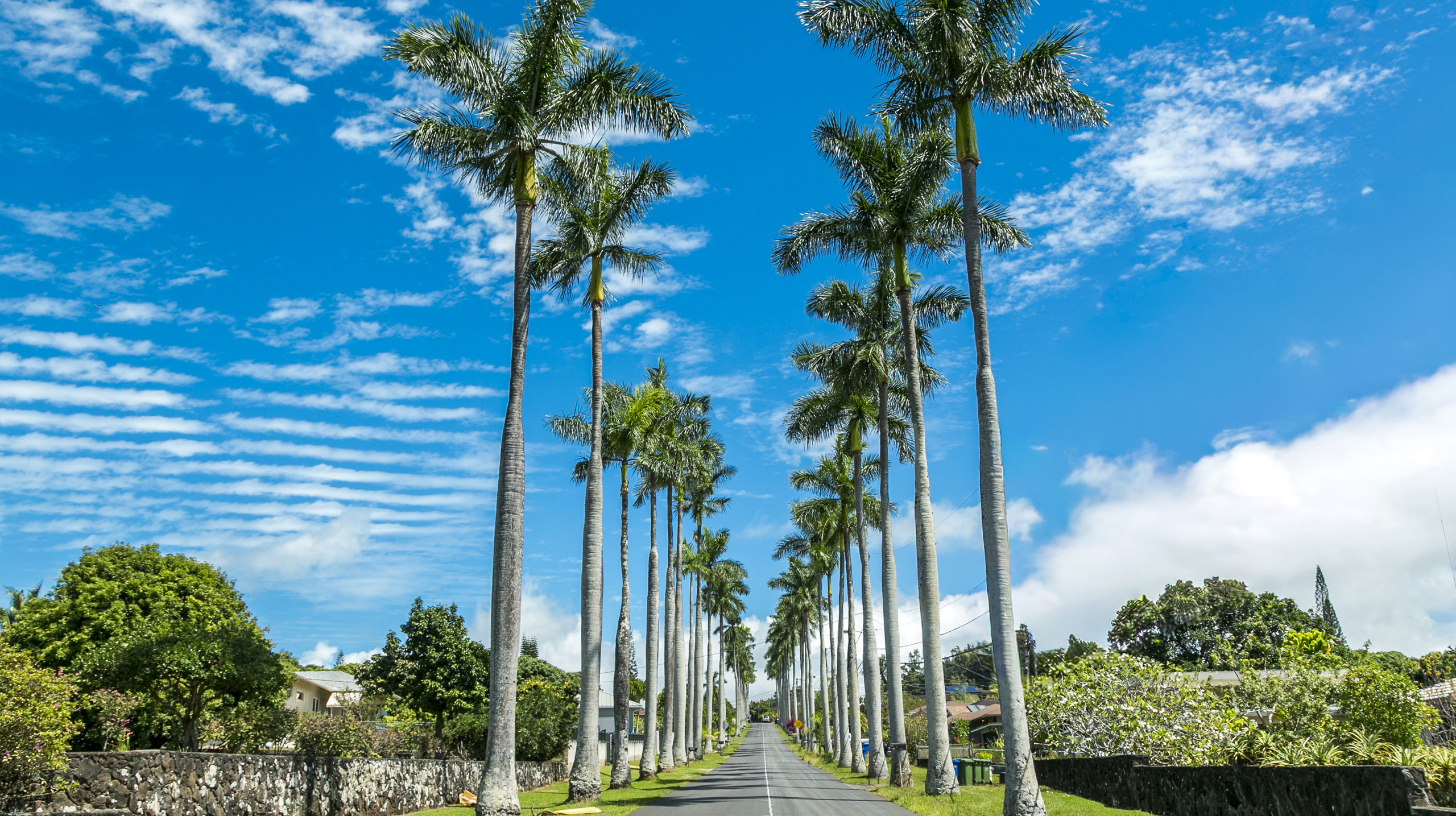 ハワイの総合不動産会社 シミズ・ゲートウェイズ