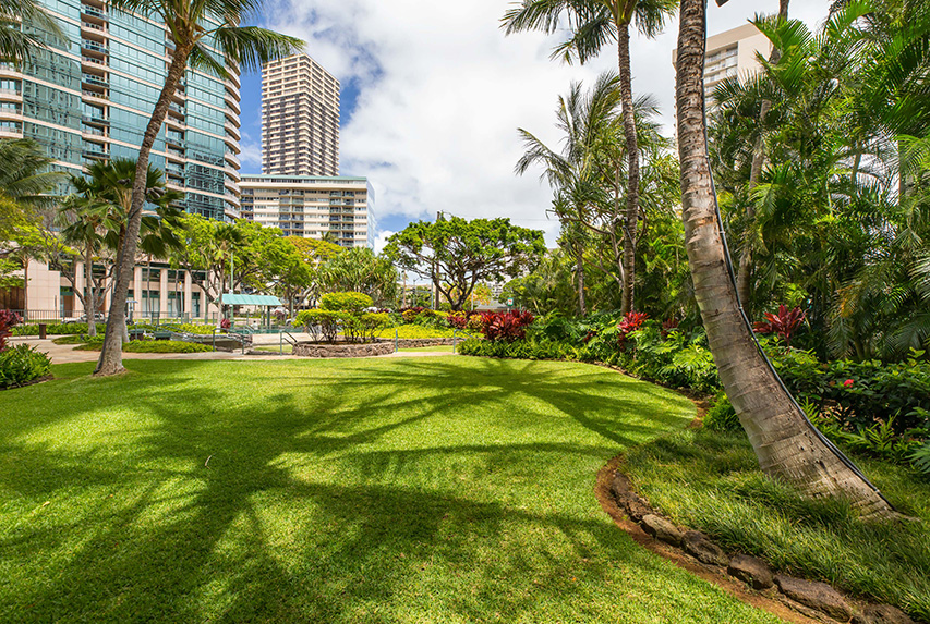 Allure Waikiki