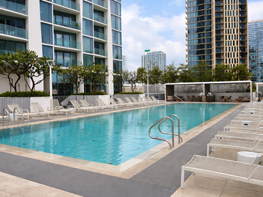 Koula #3702 | コウラ #3702