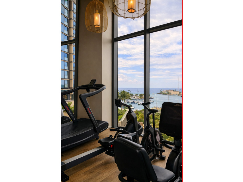 Koula #3702 | コウラ #3702