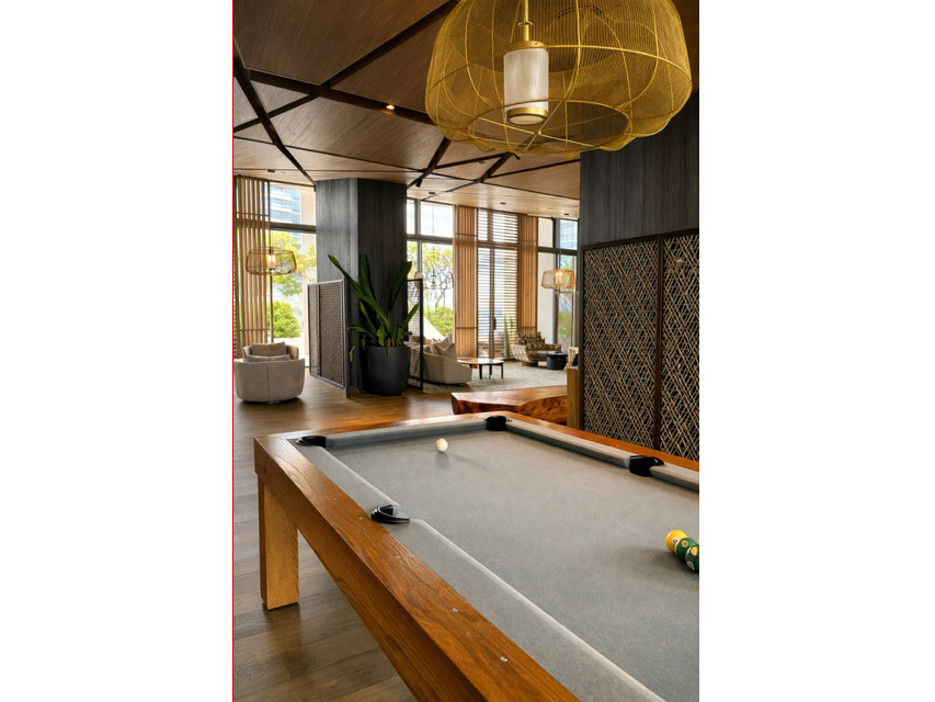 Koula #3702 | コウラ #3702