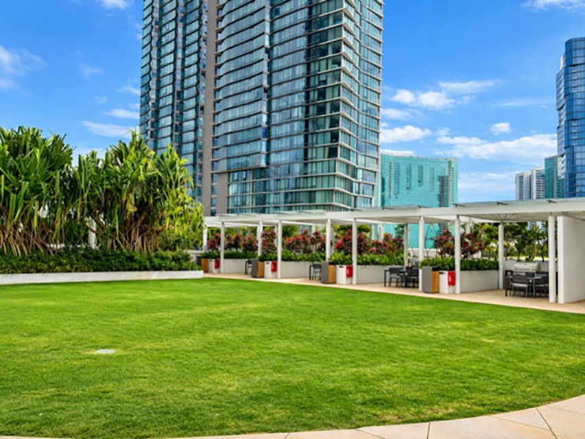 Koula #3702 | コウラ #3702